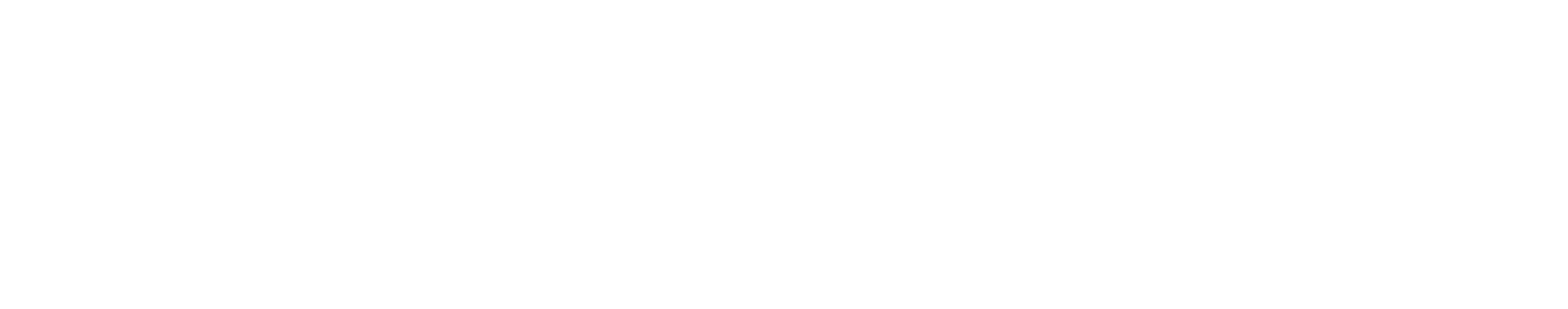 Zircon Consultants