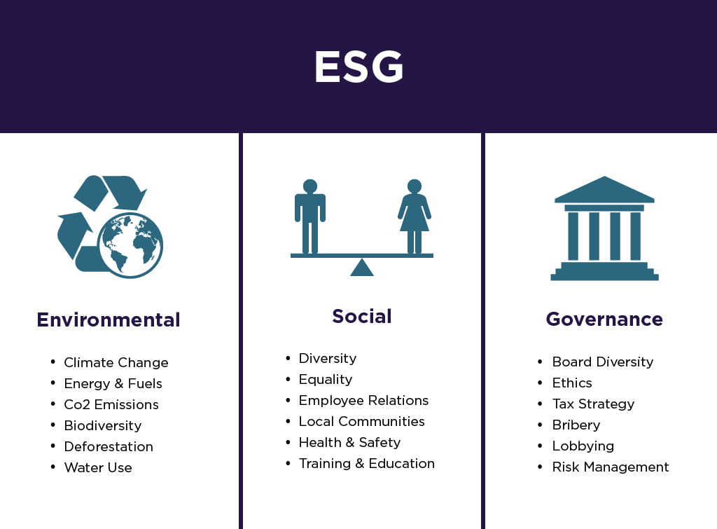 ESG (Environmental,Social and Governance) Framework
