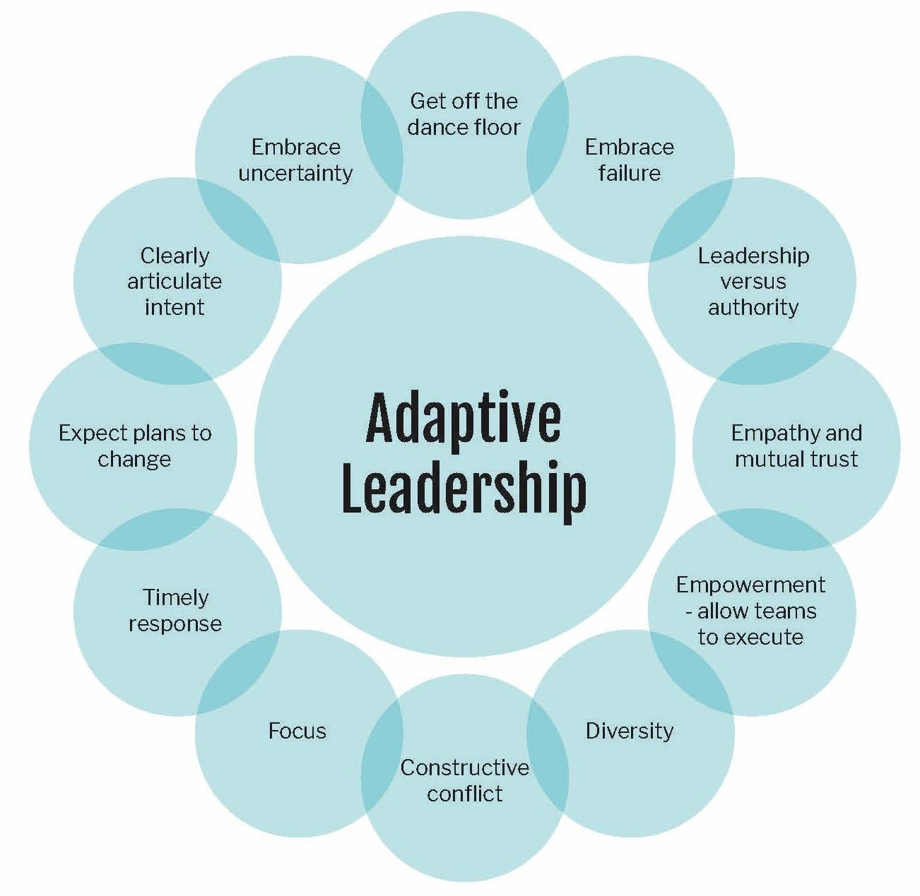 Circular diagram of Karen Ferris's Adaptive Leadership model, with twelve pale blue circles of principles arranged around a central hub